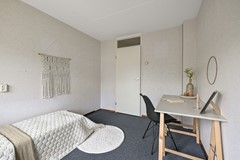 Tormentil 5 Castricum De Groot 35.JPG